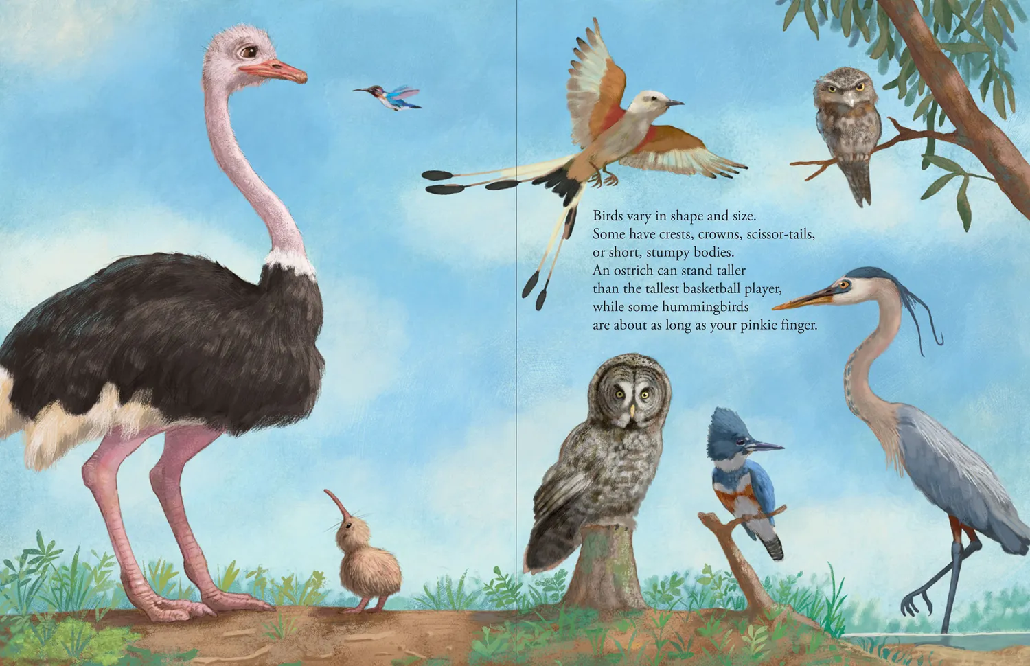 Peter Pauper Press All the Birds in the World bildebok innbundet 3-8 år