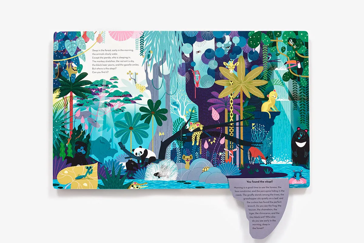 Deep in the Forest peke- og myldrebok board book