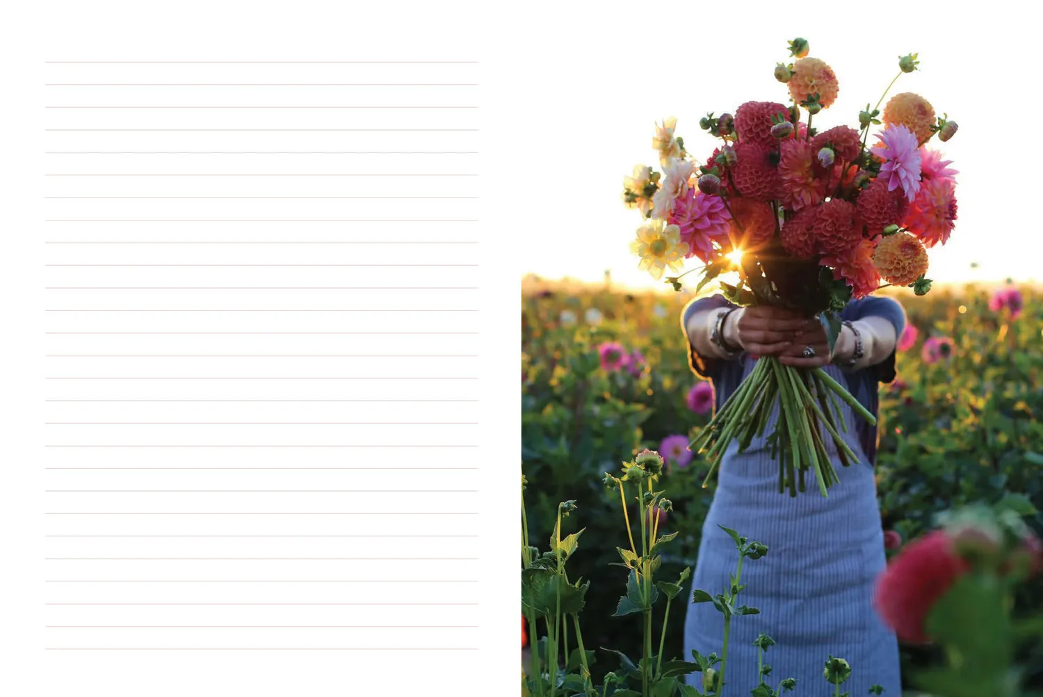 Abrams and Chronicle Floret Farm Garden Journal notatbok