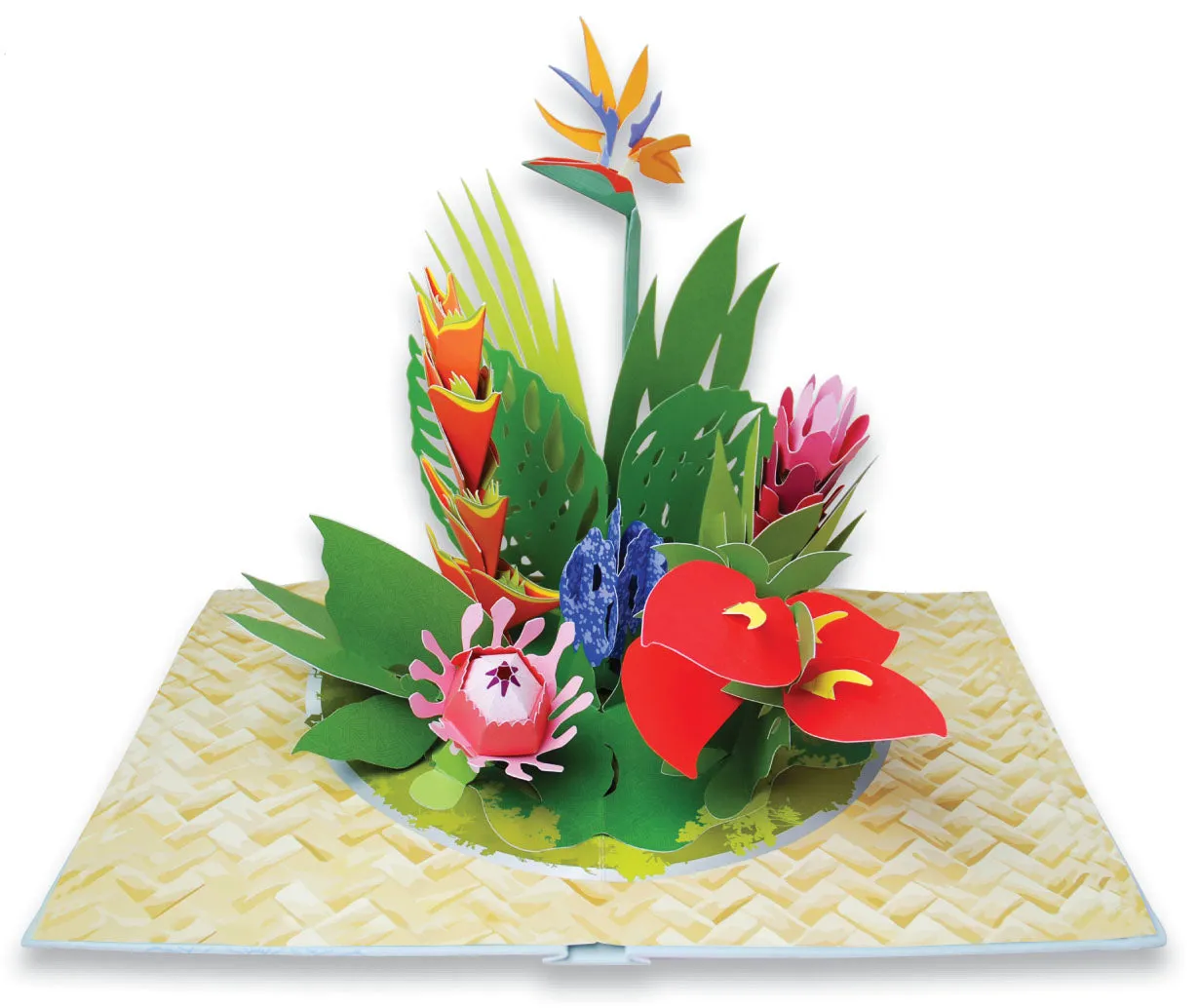 Chronicle Books Paper Blossoms pop-up bok blomster