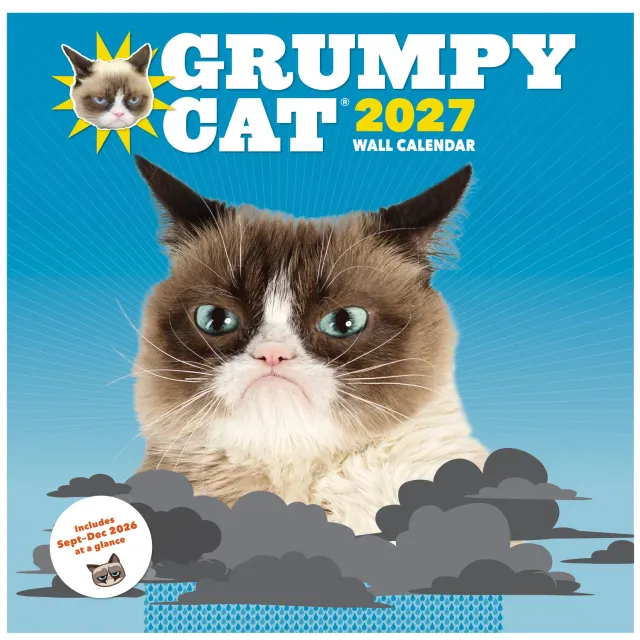 Grumpy Cat 2027 veggkalender 12x12 gave