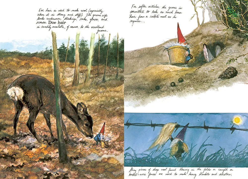Abrams and Chronicle Gnomes innbundet bok illustrert klassiker