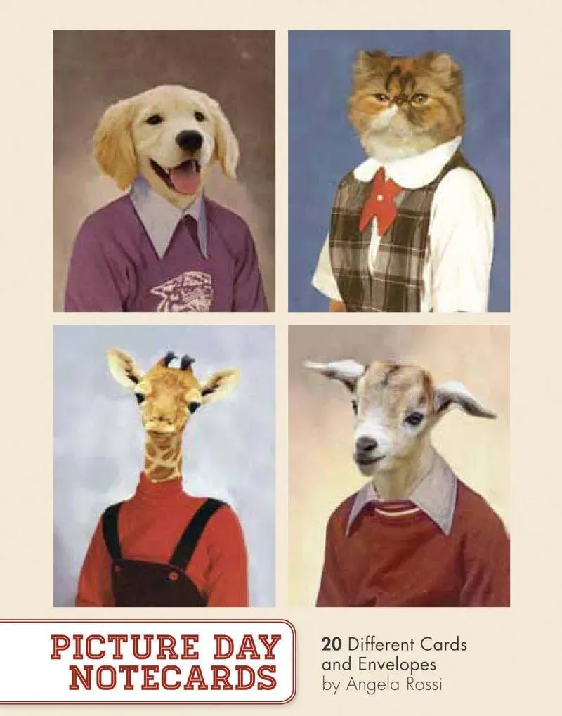 Picture Day Notecards notatkortbok 20 dyreportrett