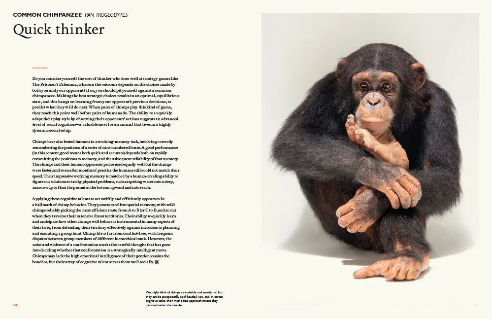 Abrams The Animal Mind innbundet sakprosabok dyreintelligens