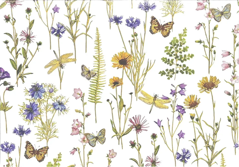 Peter Pauper Press Wildflower Garden notatkort 14 stk blanke