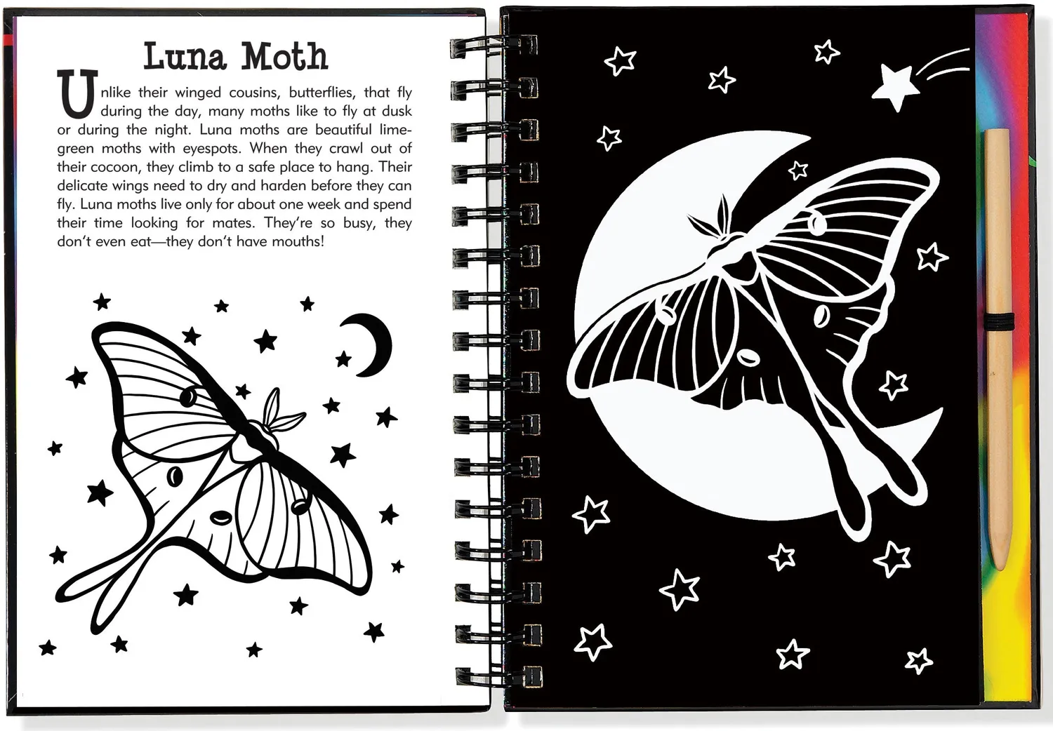 Peter Pauper Press Scratch and Sketch Butterflies and Friends skrapebok barn