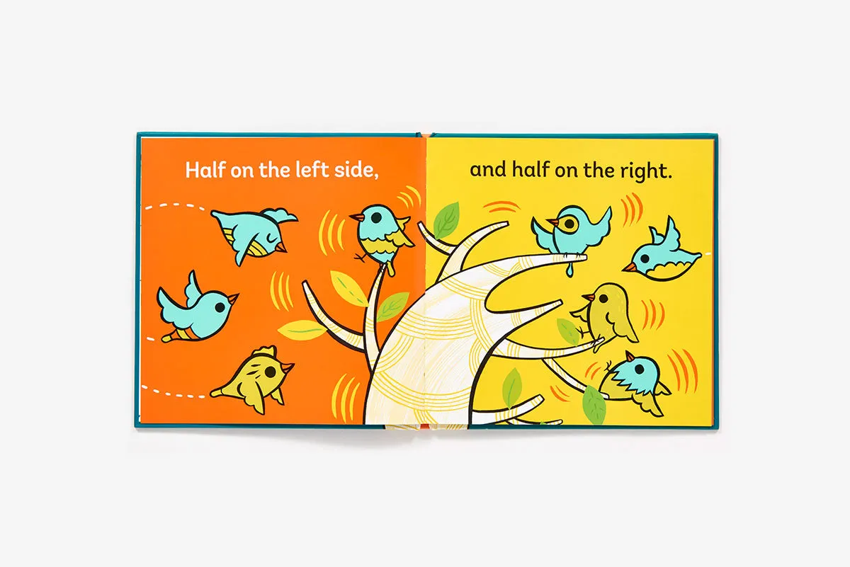 Abrams Balance the Birds innbundet bildebok