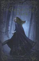 Leigh Bardugo The Gathering Dark bok engelsk brukt fantasy