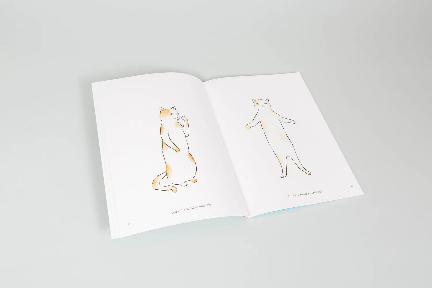 Chronicle Books Invisible Cat Activities tegnebok pocket