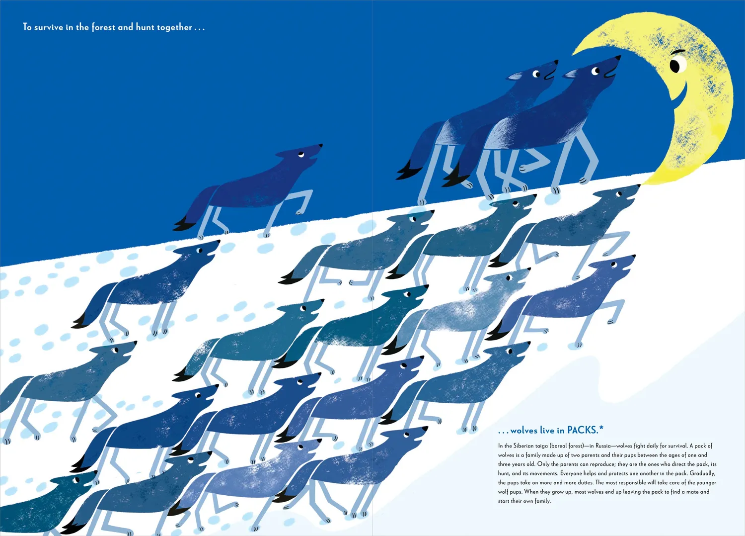 Peter Pauper Press Ensemble bildebok innbundet 3–8 år