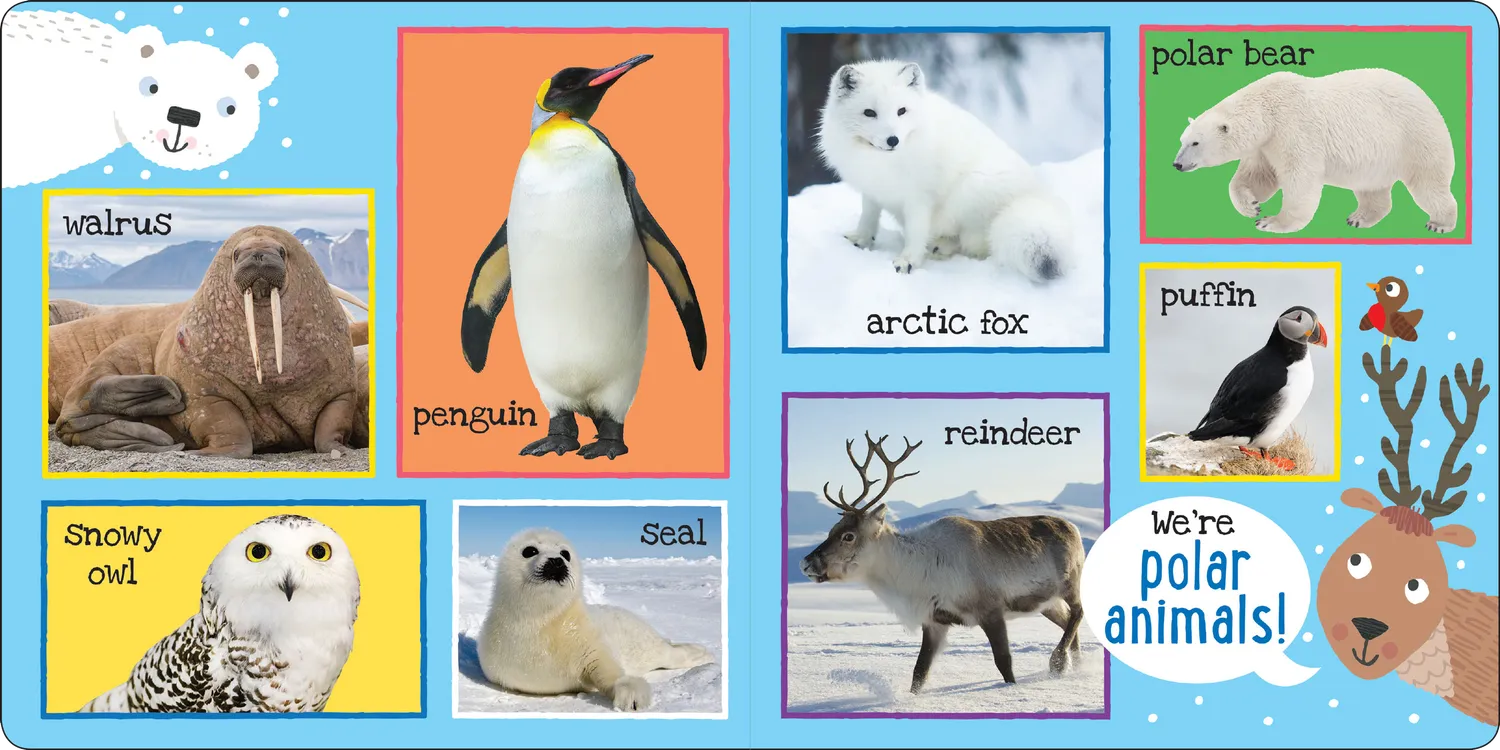 Peter Pauper Press My First 101 Animals pekebok