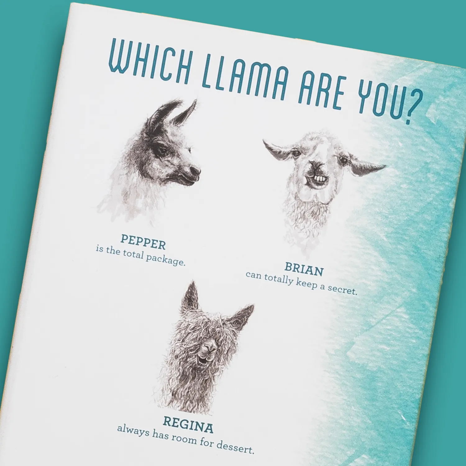 Kristin Llamas Como te Llamas lamabok innbundet humor