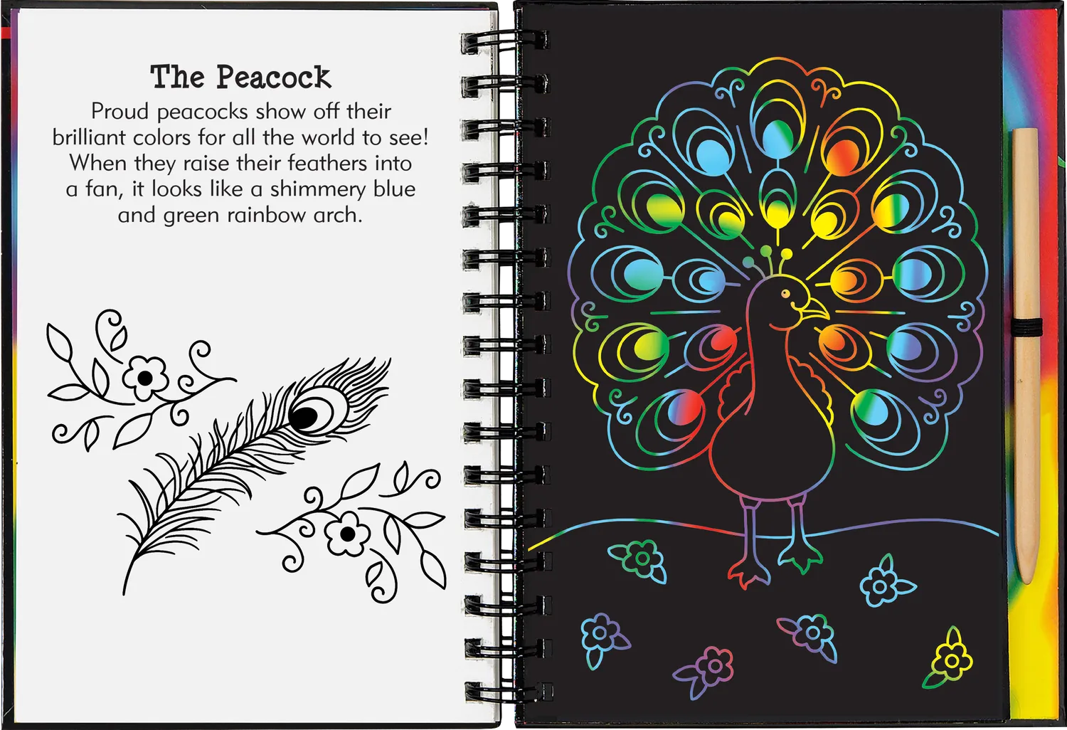 Scratch and Sketch Rainbow Magic skrapebok for barn 5 år+