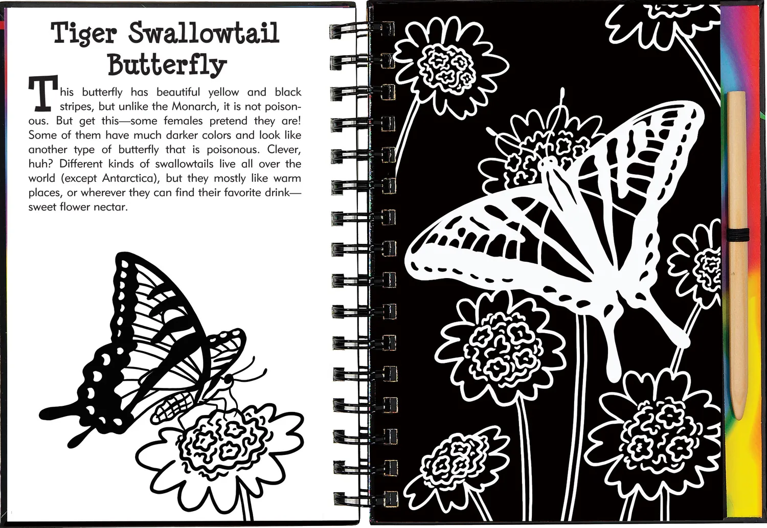 Peter Pauper Press Scratch and Sketch Butterflies and Friends skrapebok barn