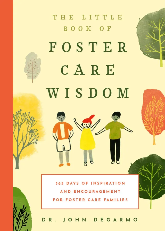 Abrams and Chronicle The Little Book of Foster Care Wisdom bok pocket fosterforeldre