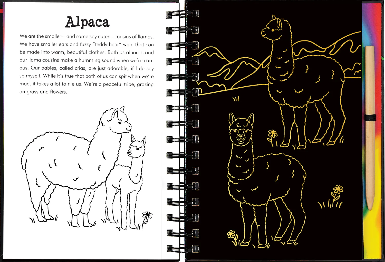 Peter Pauper Press Llamas and Friends skrapebok barn