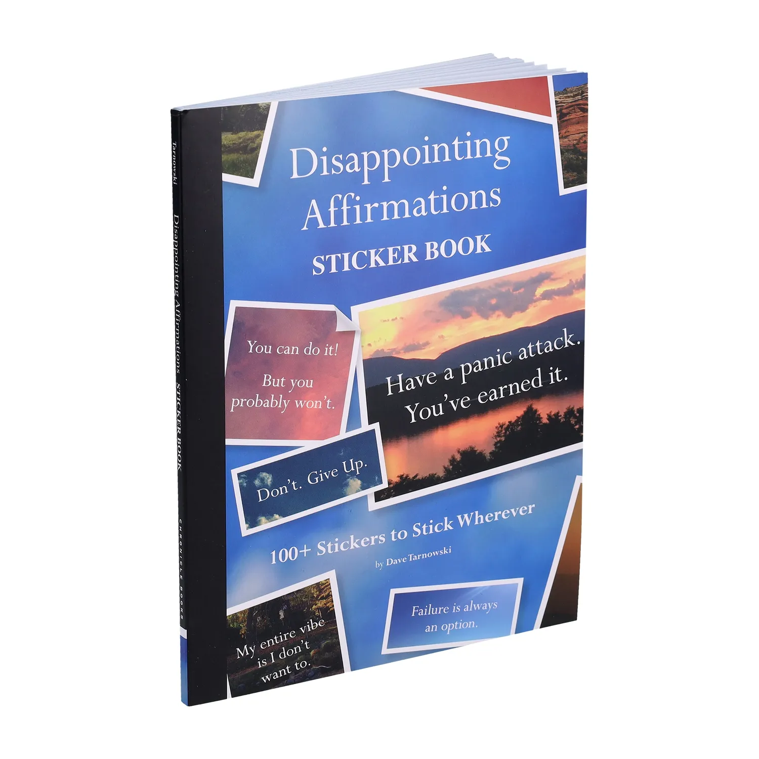 Disappointing Affirmations Sticker Book klistremerker 100+