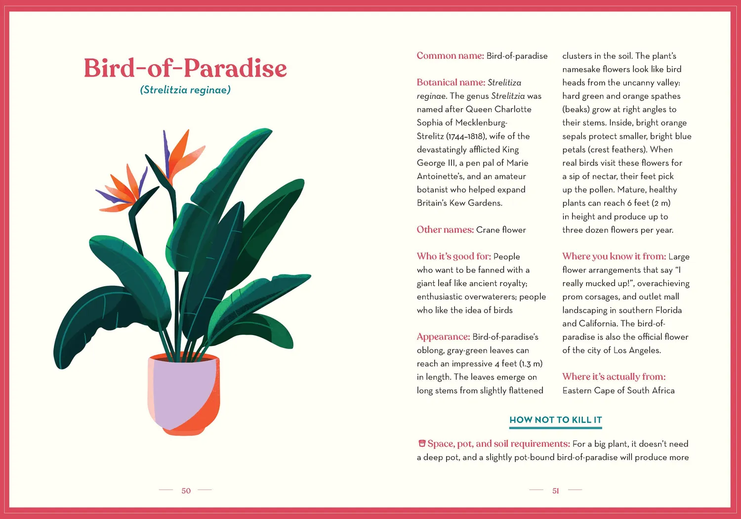 Chronicle Books Green Dumb Guide husplanter innbundet