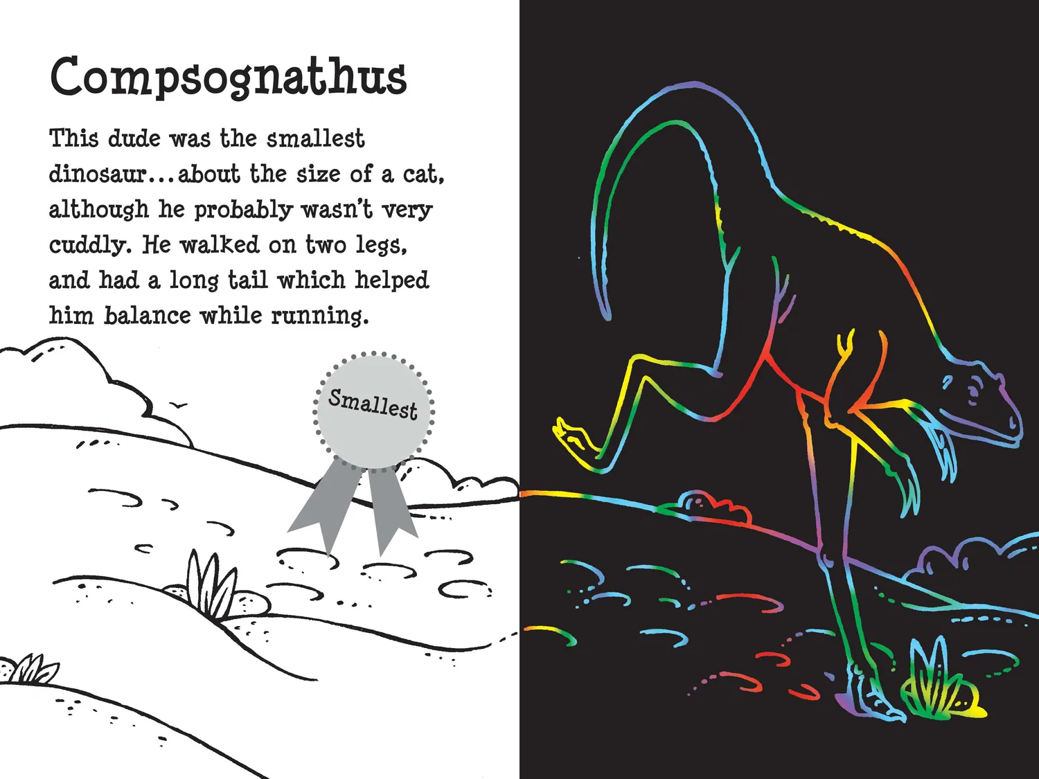 Peter Pauper Press Dino Dudes skrapebok 64 sider