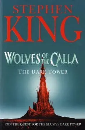 Bokia The Dark Tower V pocketbok pent brukt engelsk