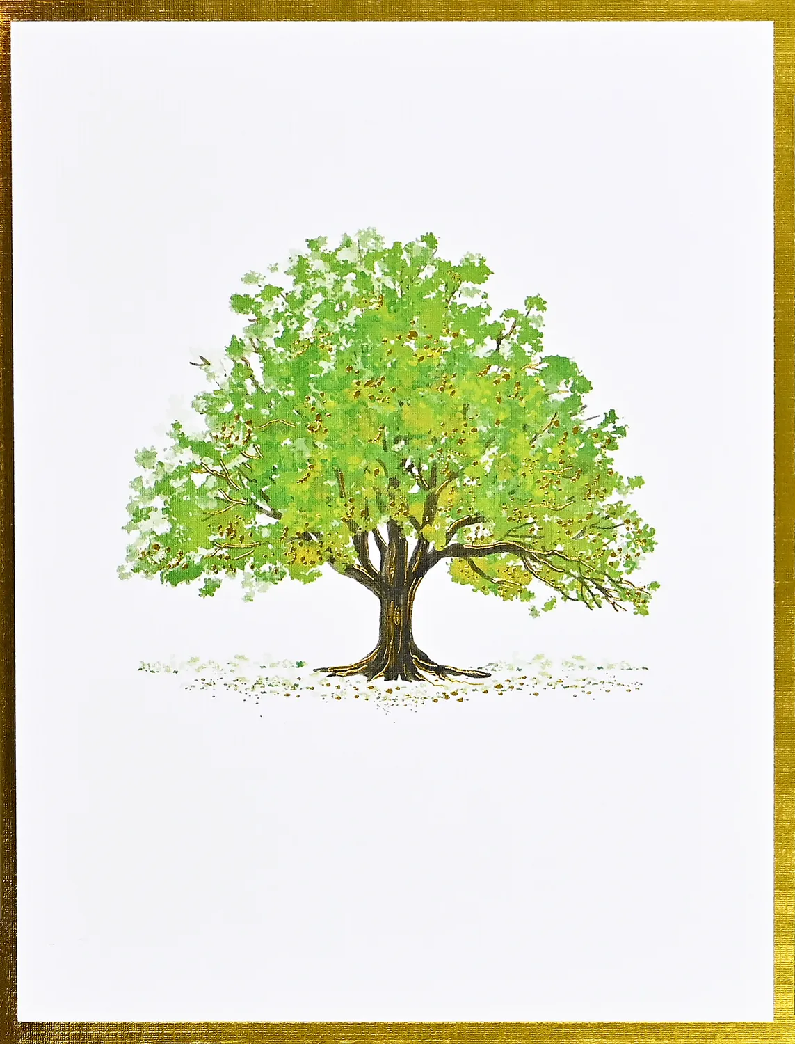 Peter Pauper Press Watercolor Trees kortsett 20 stk trær