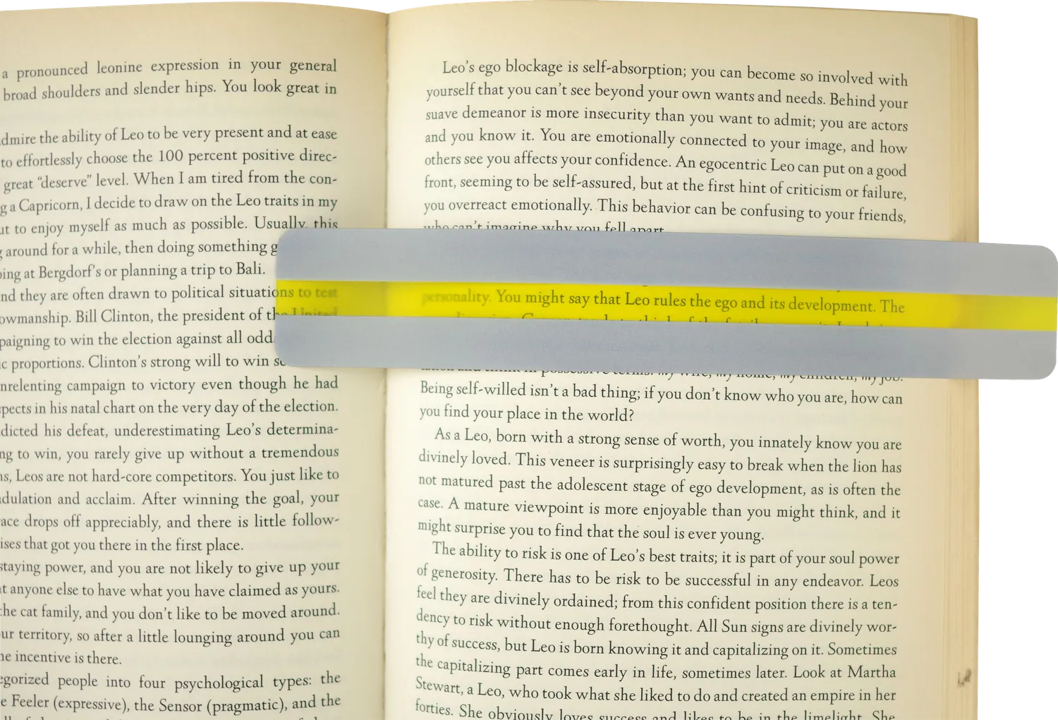 Peter Pauper Press Highlighter leseguider 6-pakning gul