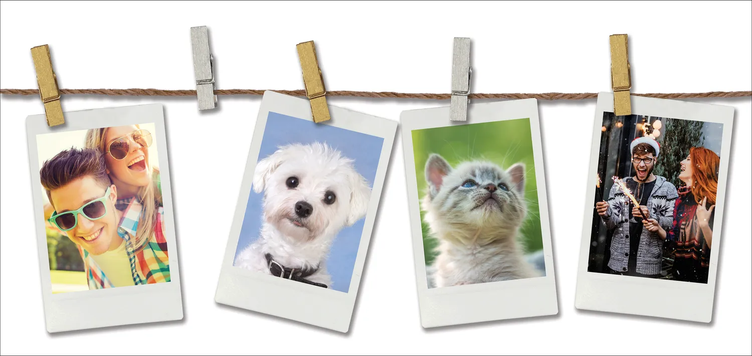 Peter Pauper Press Gold Silver Photo Clips miniklyper 20 stk hyssing