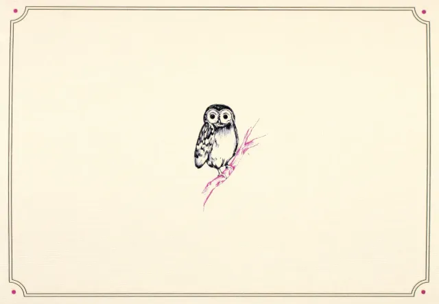 Peter Pauper Press Owl Portrait notatkort 14-pakn preget
