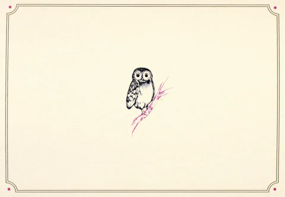 Peter Pauper Press Owl Portrait notatkort 14-pakn preget
