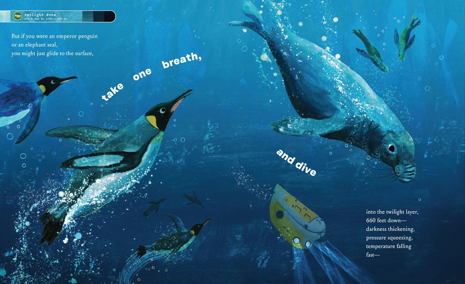 Abrams and Chronicle Bottom of the Ocean barnebok innbundet