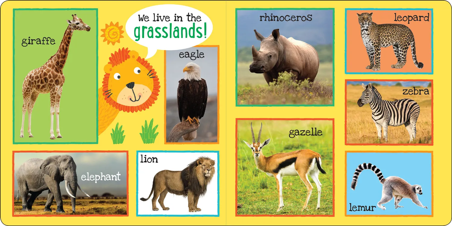 Peter Pauper Press My First 101 Animals pekebok