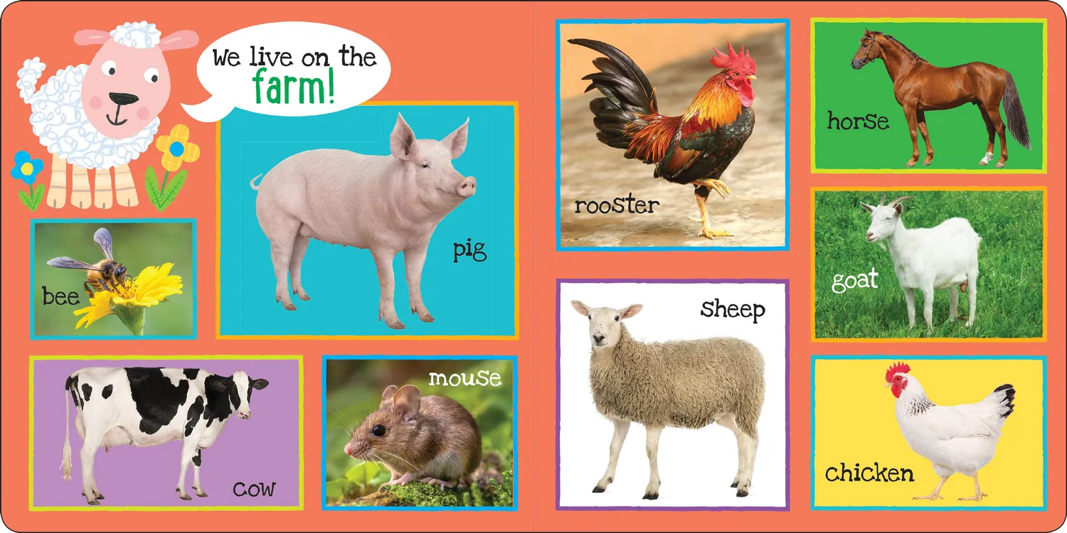 Peter Pauper Press My First 101 Animals pekebok