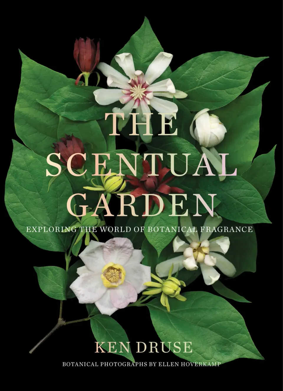 Abrams The Scentual Garden hagebok innbundet