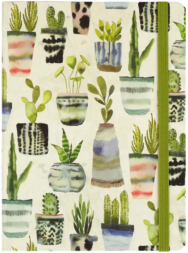 Peter Pauper Press Succulents notatbok linjert 160 sider