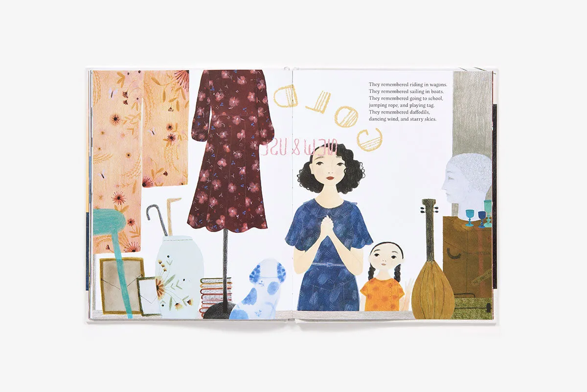Abrams The Dress and the Girl bildebok innbundet 3–7 år