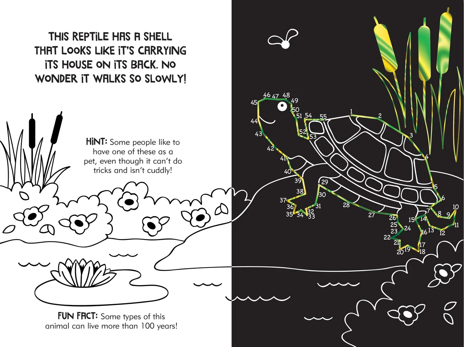 Peter Pauper Press Scratch and Sketch Dot-to-Dot Animals aktivitetsbok dyr