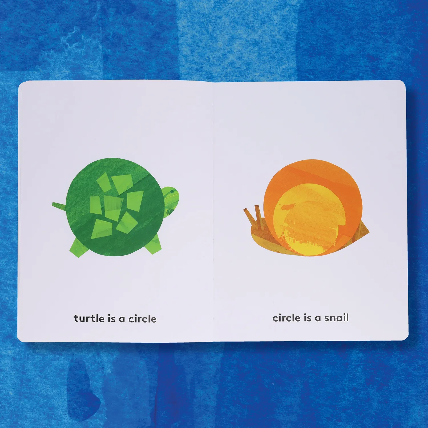 Abrams and Chronicle Some of These Are Snails innbundet bildebok sortering