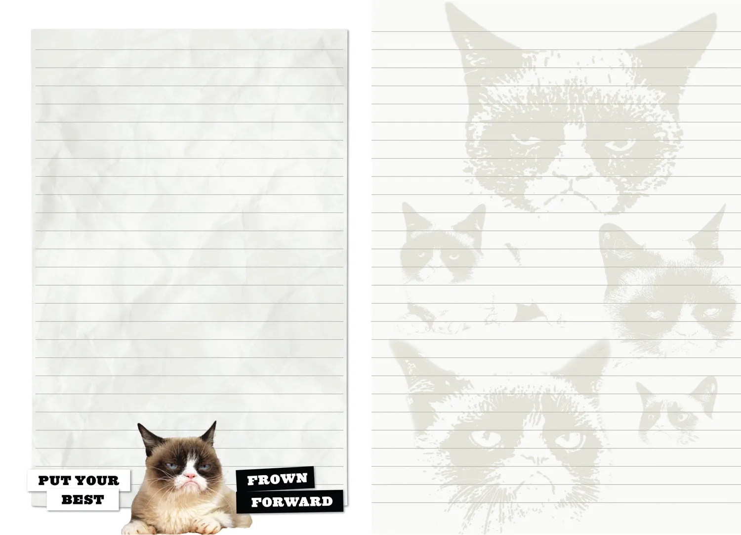 Chronicle Books Grumpy Cat Flexi Journal notatbok med klistremerker