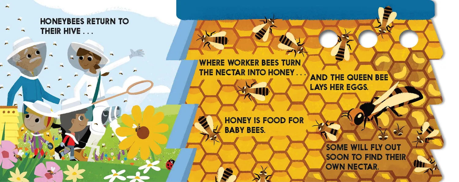 Abrams Block Book Bugblock pekebok om insekter