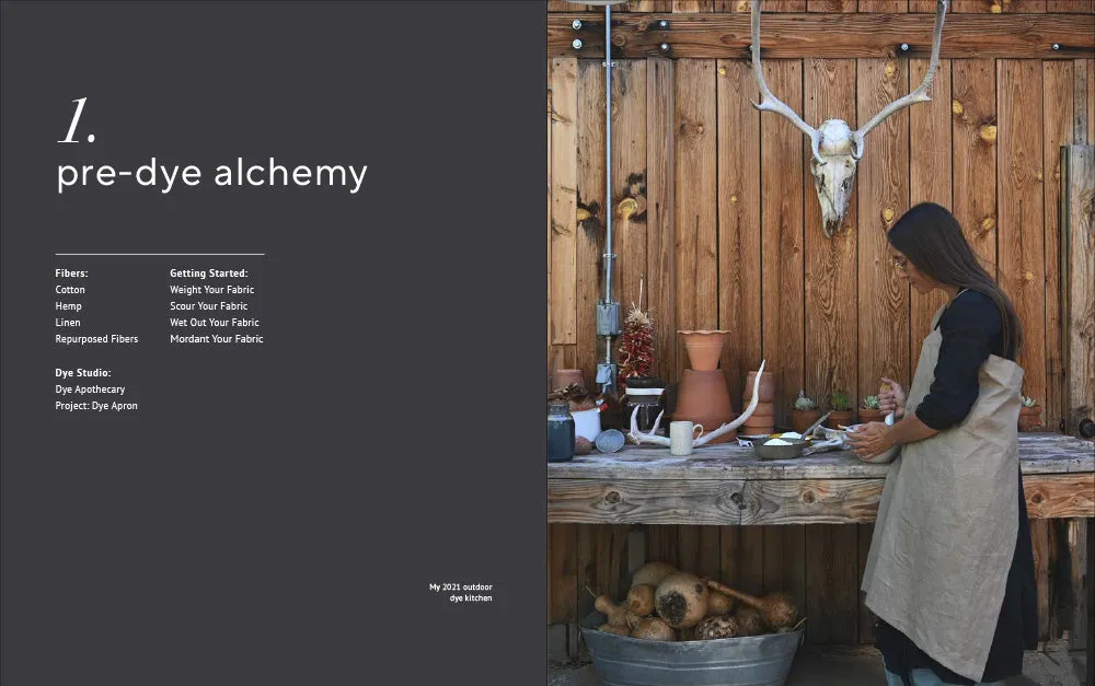 Abrams Farm & Folk Quilt Alchemy bok plantefarging