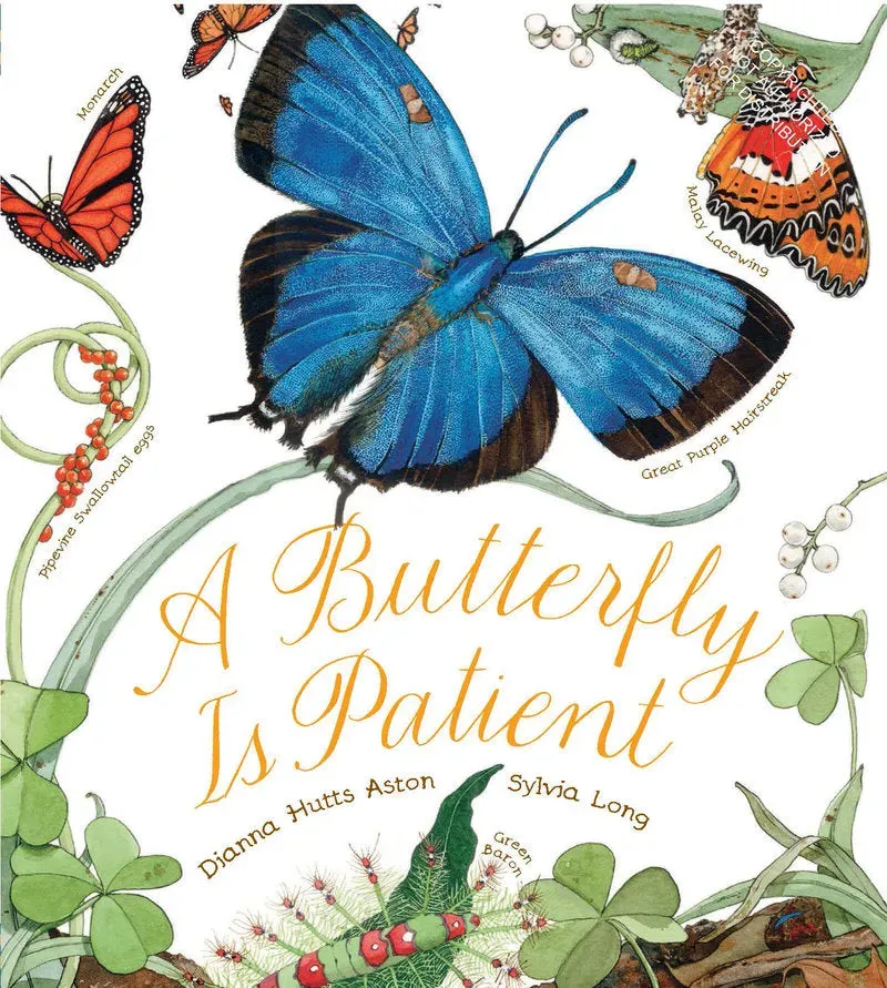 Chronicle Books Butterfly Is Patient barnebok innbundet 5-8