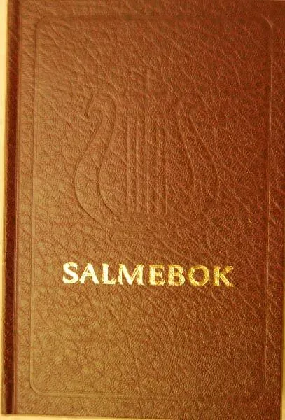 DELK-forlaget Salmebok stor skrift kirke hjem skole
