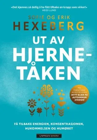 Bokia Ut av hjernetåken pocket bok pent brukt