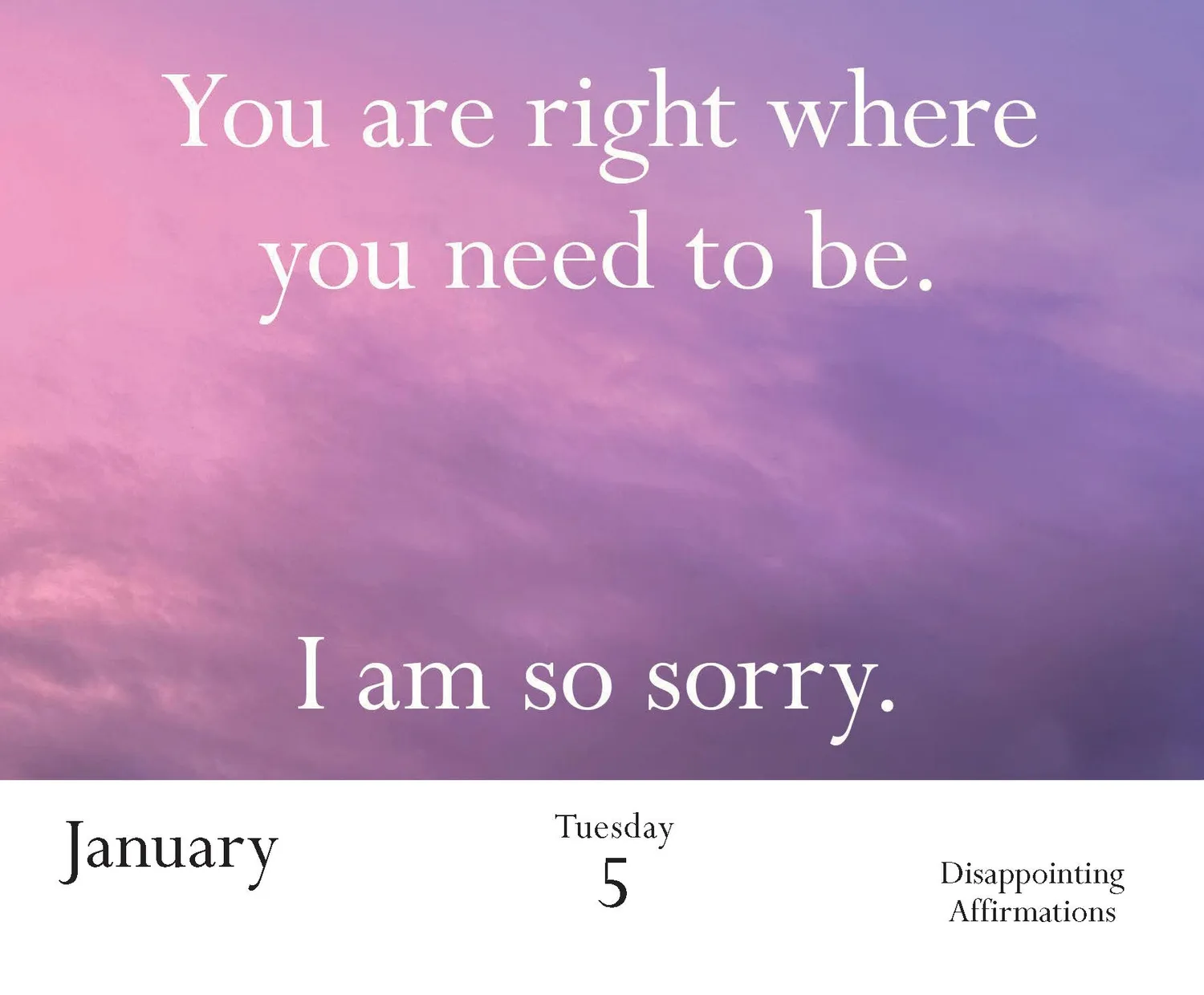 Disappointing Affirmations 2027 Daily Calendar dagskalender
