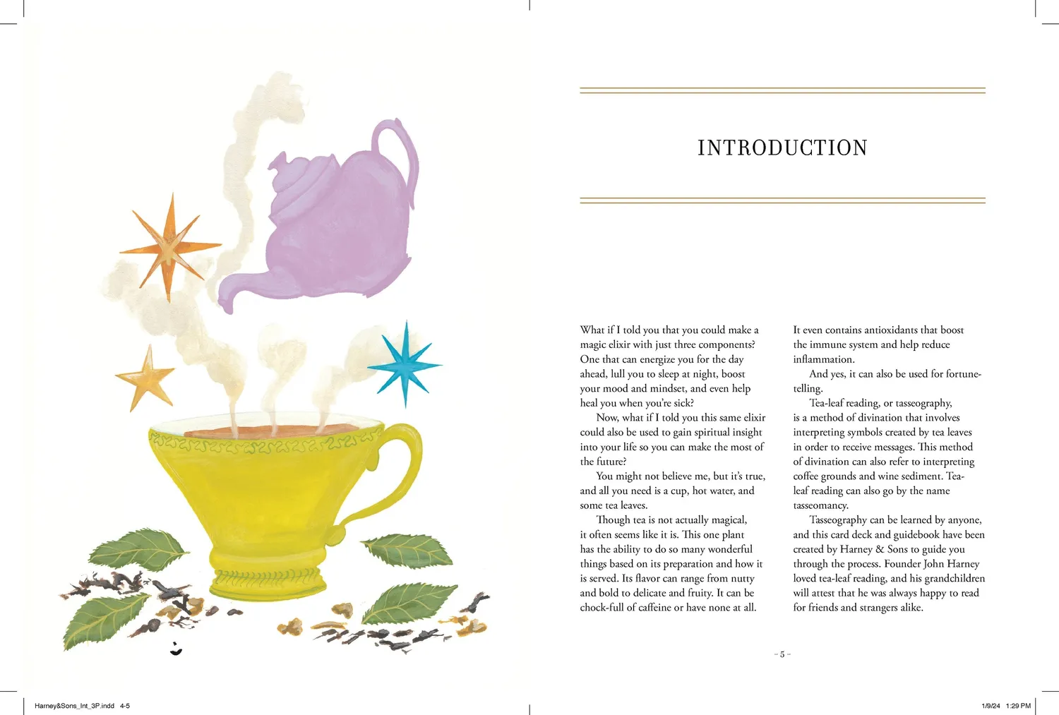 Harney & Sons How to Read Tea Leaves kortstokk guidebok