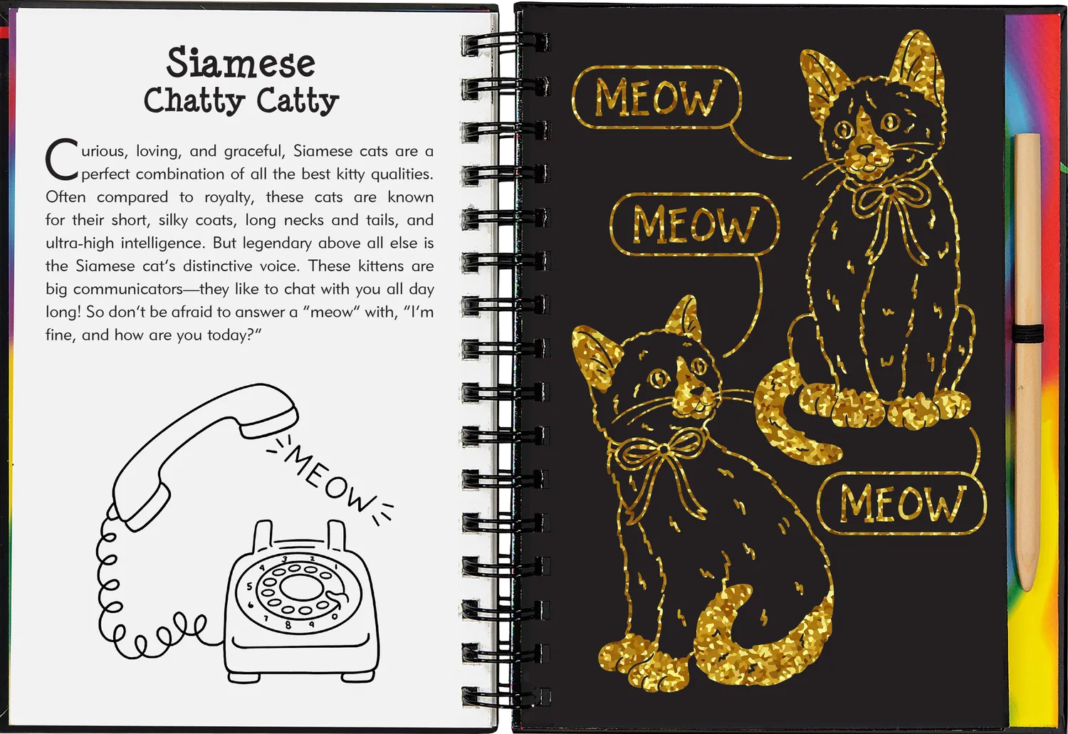 Peter Pauper Press Kittens skrapebok glitter 64 sider