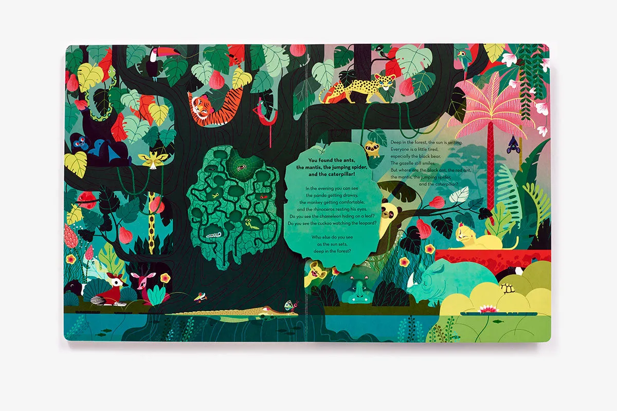 Deep in the Forest peke- og myldrebok board book