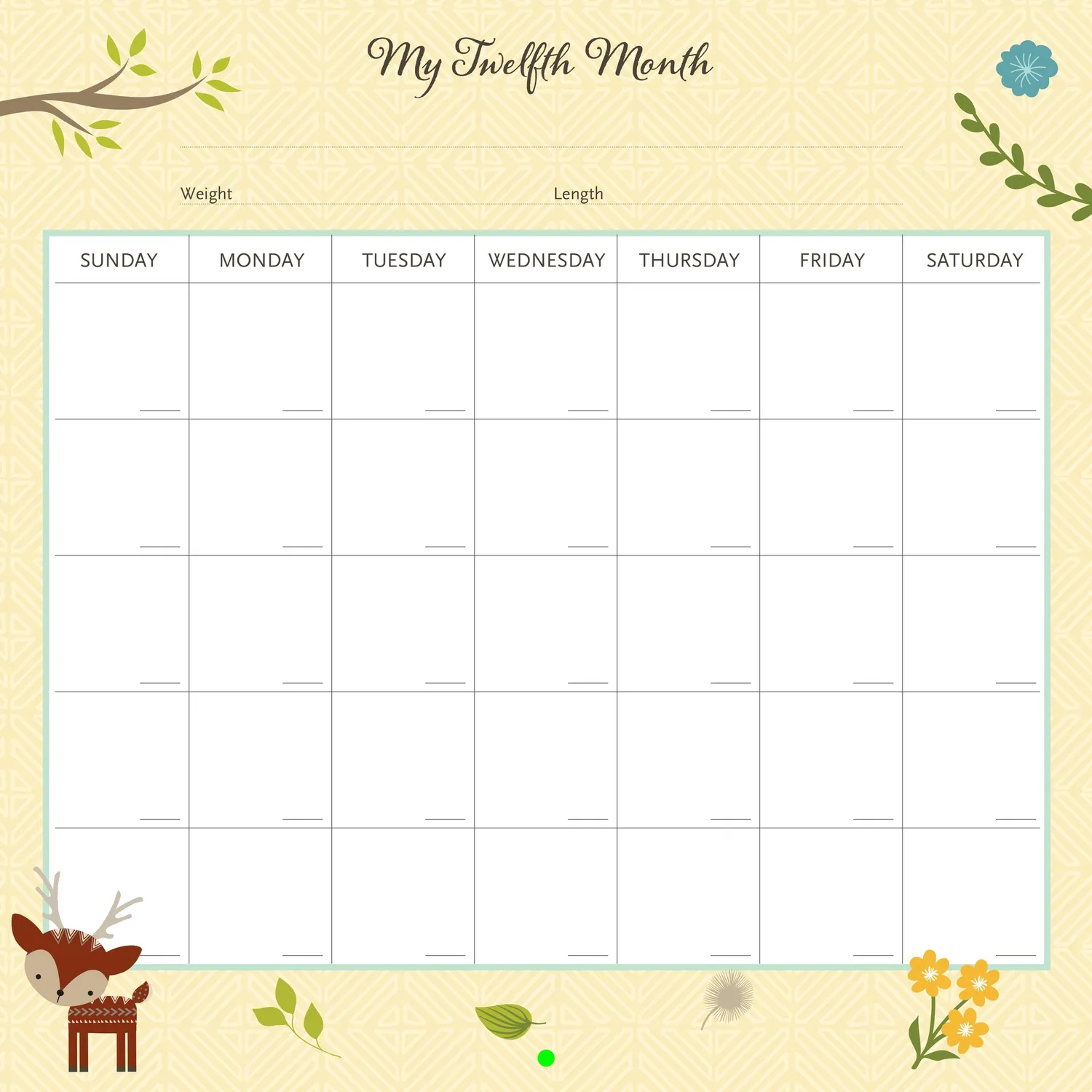 Peter Pauper Press My Life as a Baby kalender veggkalender første år