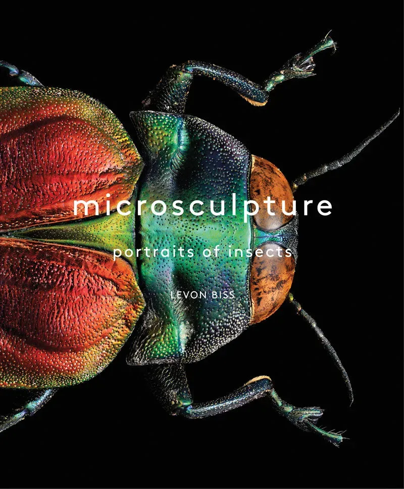 Microsculpture Portraits of Insects bok innbundet fotobok