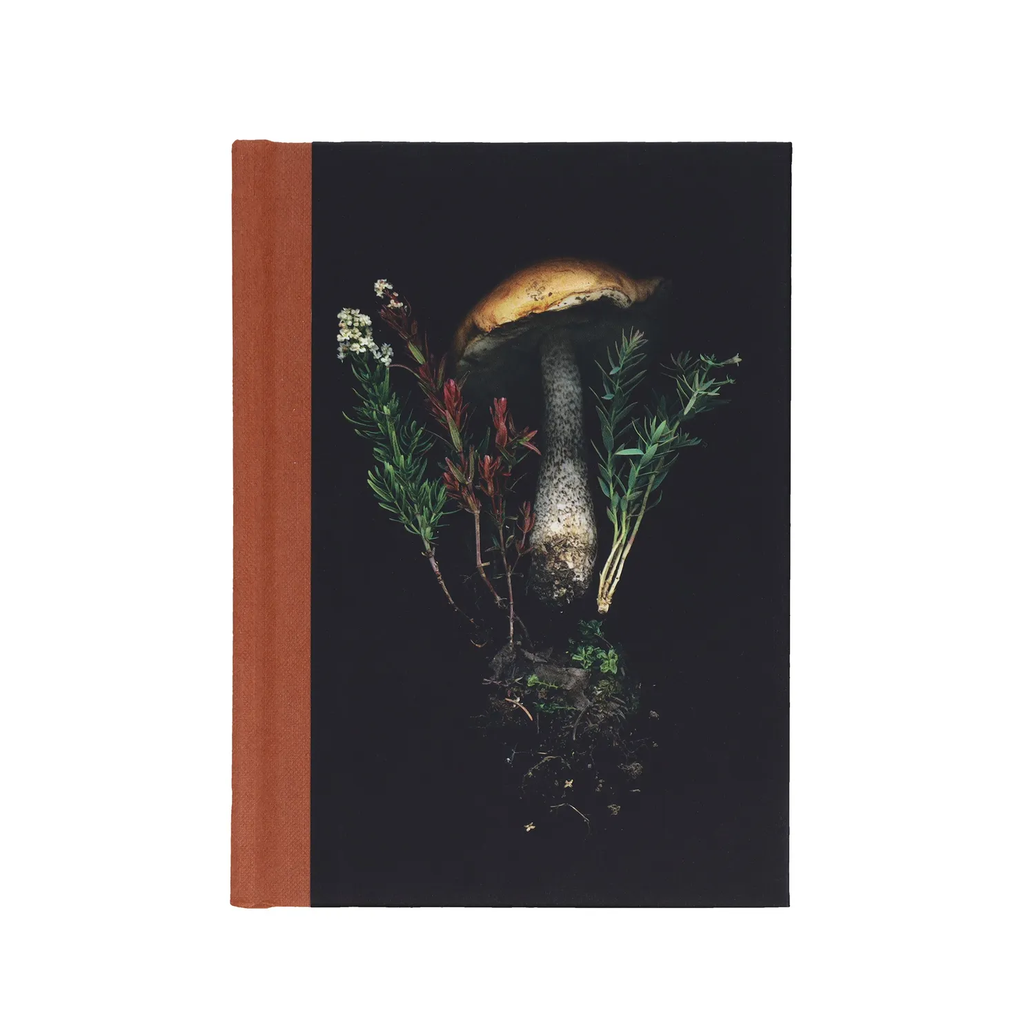 Chronicle Books Deep Dark Forest Mushroom Journal notatbok sopp